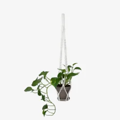 GRANIT Ampel Enkel Makramé Vit- Växt- & Odlingstillbehör|Krukor