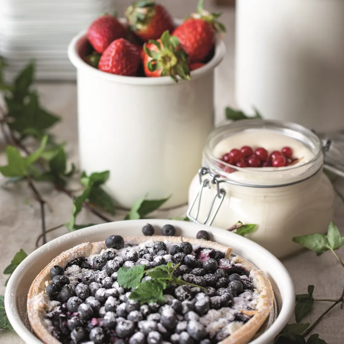 GRANIT Burk Glas Snäpplock 50cl- Växt- & Odlingstillbehör|Köksförvaring