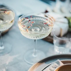 GRANIT Champagnekupa Fera 21cl- Dukning|Glas