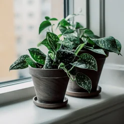 GRANIT Fat Terrakotta 11cm Grå- Växt- & Odlingstillbehör|Krukor