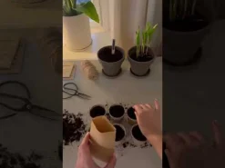 GRANIT Fiberkruka Papper 10-p- Växt- & Odlingstillbehör|Krukor