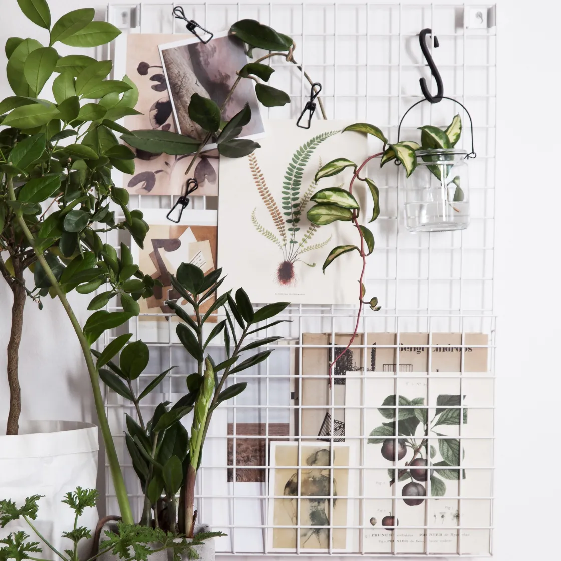 GRANIT Klämma Enkel 5-p Svart- Klämmor & Vajrar|Förvaringstavlor Med Tillbehör