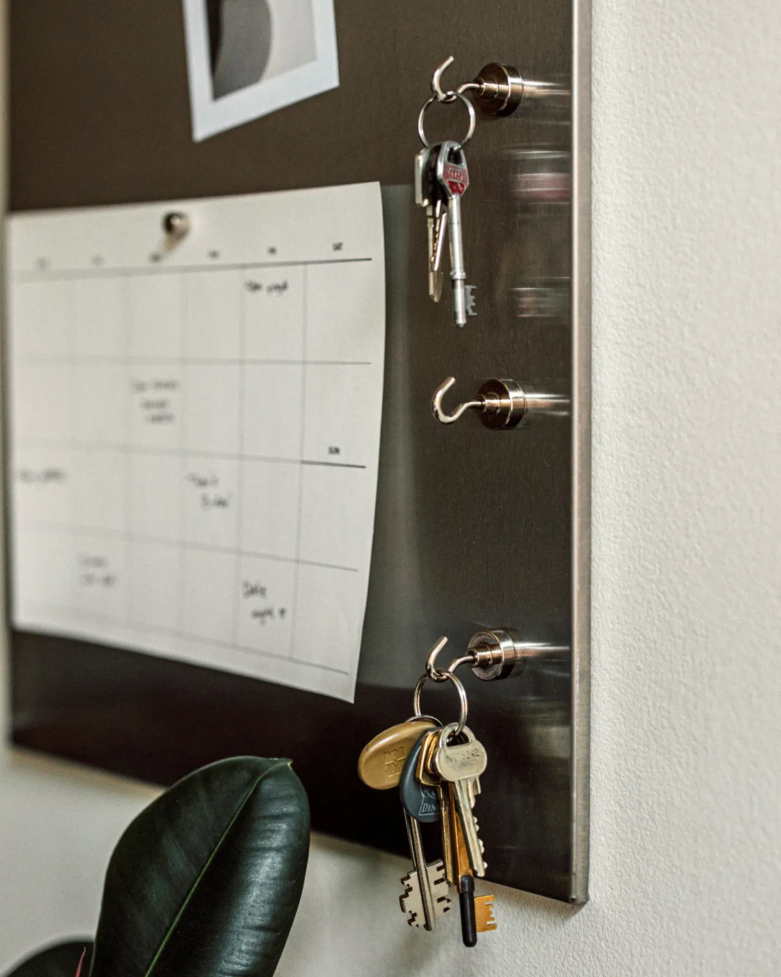 GRANIT Krok Magnet 2x3,8cm Rostfritt Stål- Magneter|Förvaringstavlor Med Tillbehör