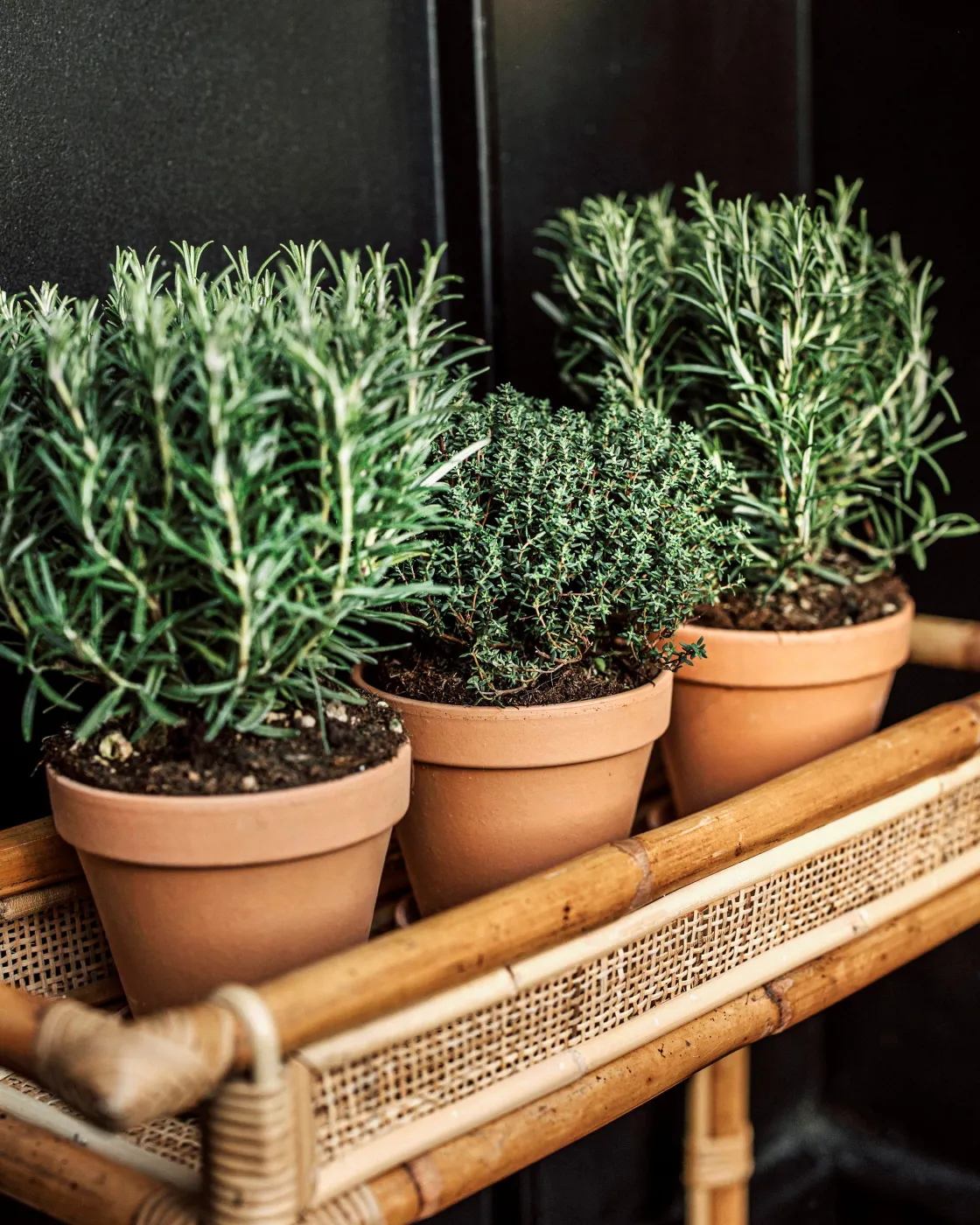 GRANIT Kruka Terrakotta 13,5cm- Växt- & Odlingstillbehör|Krukor