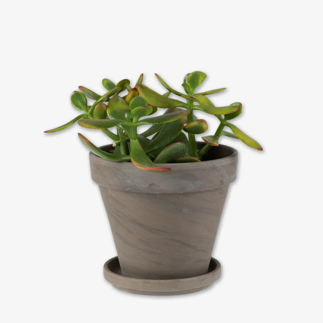 GRANIT Kruka Terrakotta 13,5cm Grå- Växt- & Odlingstillbehör|Krukor