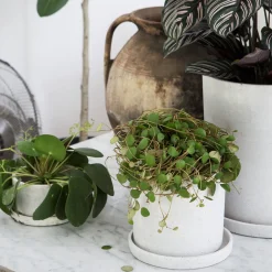 GRANIT Kruka/Fat Polystone 13cm Vit- Växt- & Odlingstillbehör|Krukor