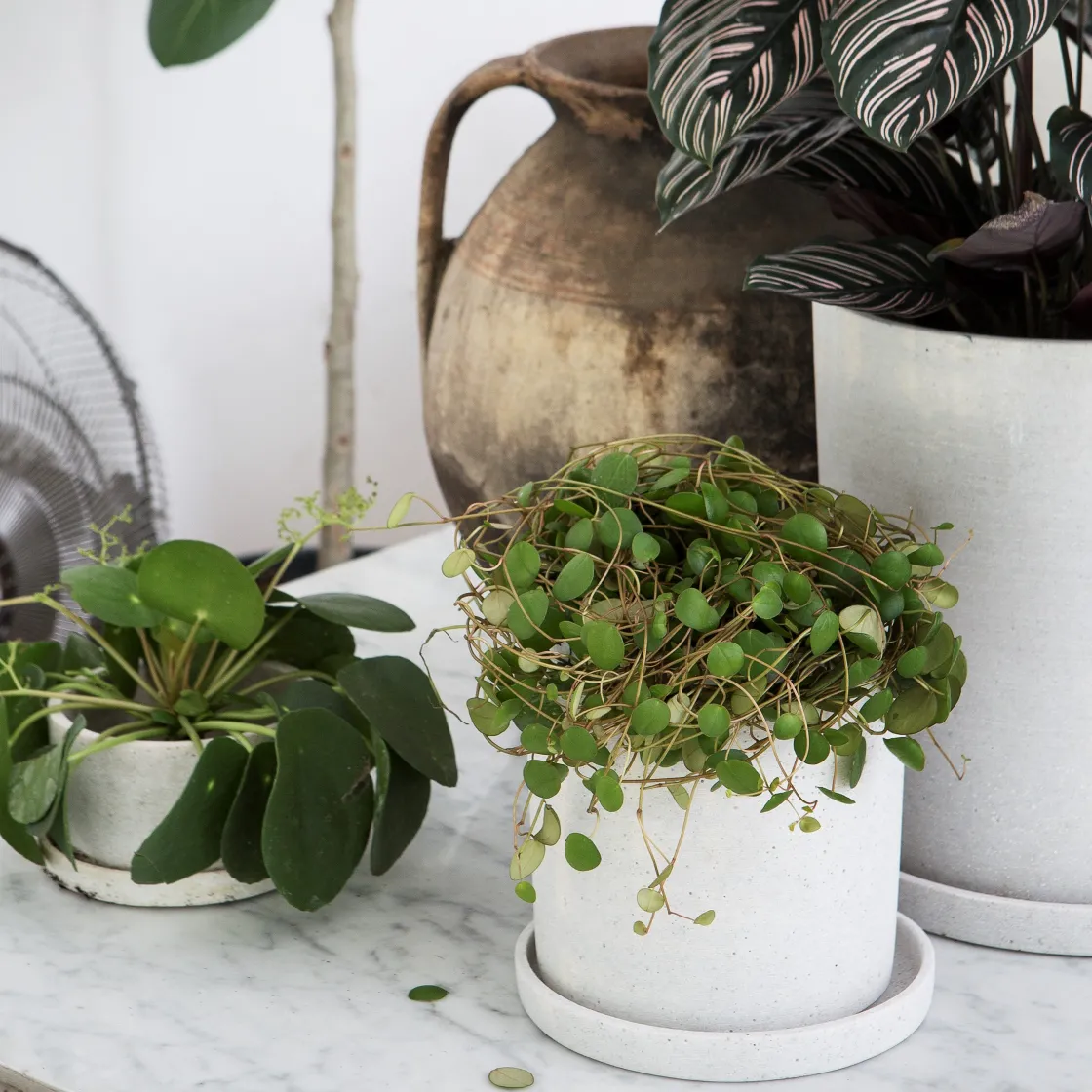 GRANIT Kruka/Fat Polystone 13cm Vit- Växt- & Odlingstillbehör|Krukor