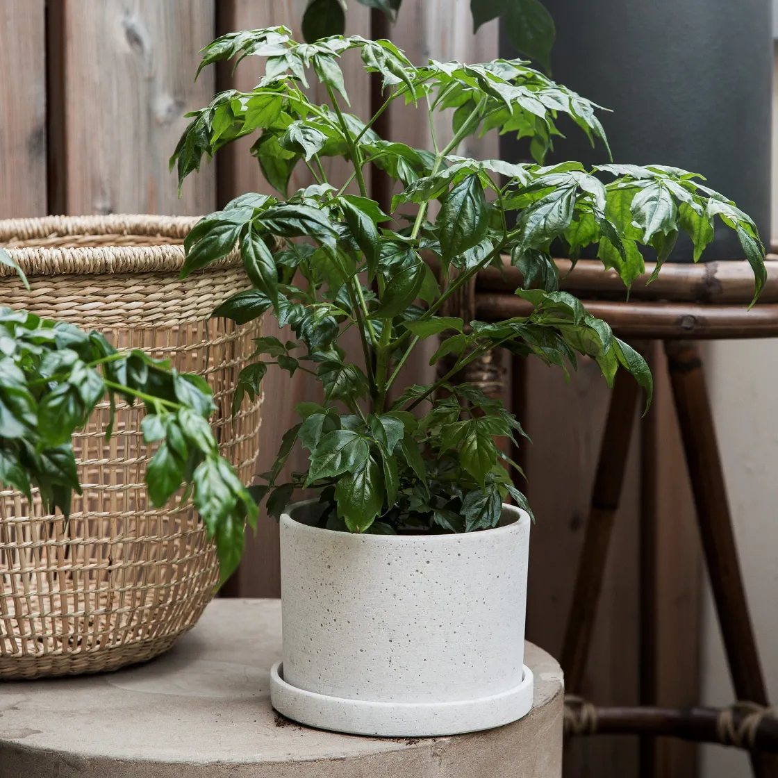 GRANIT Kruka/Fat Polystone 13cm Vit- Växt- & Odlingstillbehör|Krukor