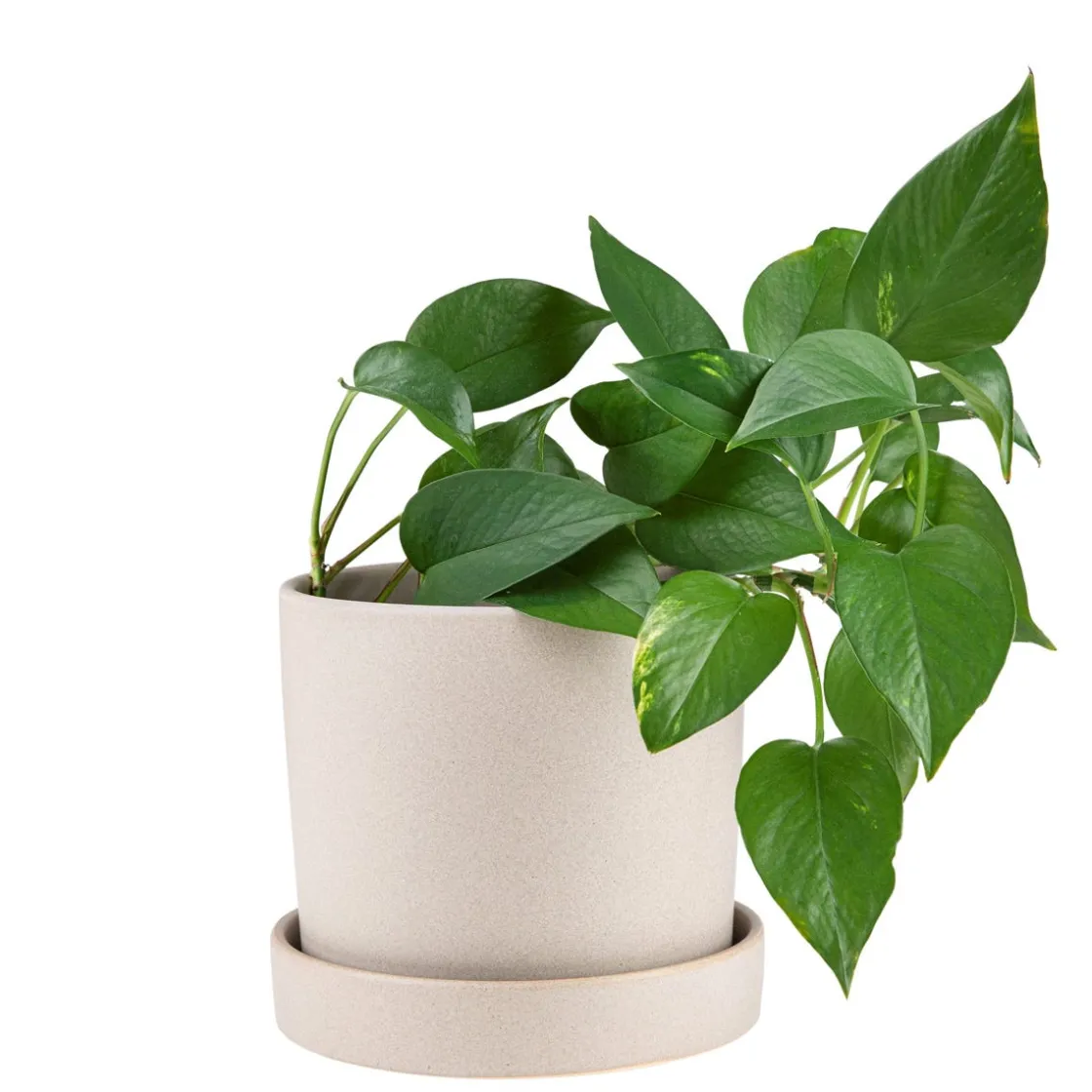 GRANIT Kruka/Fat Stengods 17,5cm Beige- Växt- & Odlingstillbehör|Krukor