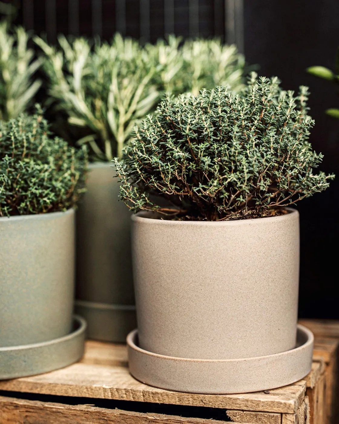 GRANIT Kruka/Fat Stengods 14cm Beige- Växt- & Odlingstillbehör|Krukor