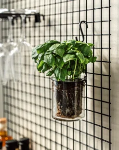 GRANIT S-Krok Järn 5cm 5-p Svart- Förvaringstavlor Med Tillbehör|Häng- & Väggförvaring