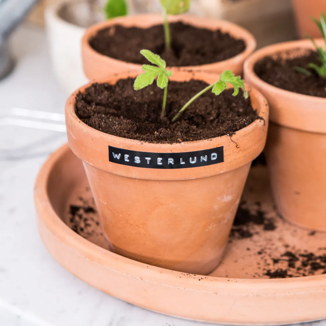 GRANIT Tejp Dymo 3-p- Skrivbordstillbehör