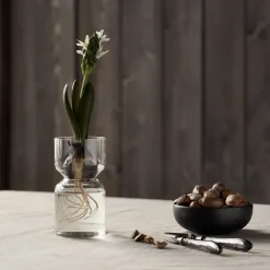 GRANIT Vas Hyacint Klarglas 15x8cm- Vaser|Juldukning