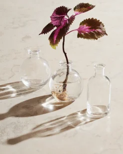 GRANIT Vas Stickling Hög 12x5,7cm Klar- Växt- & Odlingstillbehör|Vaser