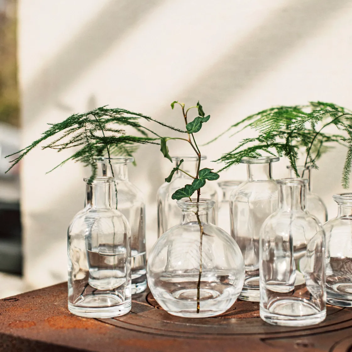 GRANIT Vas Stickling Hög 12x5,7cm Klar- Växt- & Odlingstillbehör|Vaser